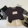 Boys' Autumn T-shirt 2025 Children's Spring and Autumn style long-sleeved base layer, boys' sporty and stylish faux two-piece top, trendy details Picture